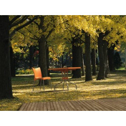 FORZA TABLE